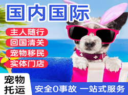 深圳机场邮寄国际宠物托运 【国